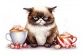 Illustration of a gloomy cat with a cup of coffee on the snow, watercolor background Royalty Free Stock Photo