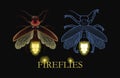 Illustration of glowing firefly Royalty Free Stock Photo