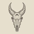 illustration goat skull engraving style on black background