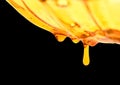 Illustration of a golden drop of oil.