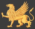 Illustration of a golden griffin with wings. Traditional heraldry