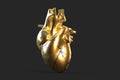 Illustration of golden human heart. 3D illustration