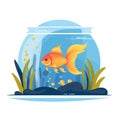 Illustration of a goldfish in a small glass aquarium.