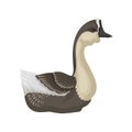 Goose with beige chest, gray head, wings and beak, side view. Wild bird. Fauna theme. Flat vector icon