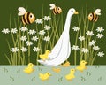 Illustration, goose with cute goslings in a meadow with daisies and funny bees. Colorful design, children\'s print