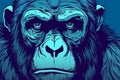 Gorilla in the blue background,