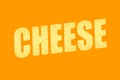 The word cheese with a cheesy texture. 3D illustration.