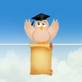 Graduate bird with parchment Royalty Free Stock Photo