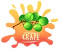 illustration of grape branch in bright colors, inscription or lettering of word grape