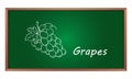 Illustration of grapes on chalk board. Educational concept. Sketching style with white chalk