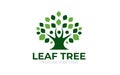 Illustration graphic vector of Leaf Tree growth logo design template