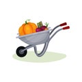 Gray garden cart with ripe vegetables. Metal wheelbarrow with beet, big orange pumpkin and onion. Crop from farm. Flat Royalty Free Stock Photo