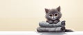 Illustration with a gray kitten lying on a stack of pillows or bundles of blankets