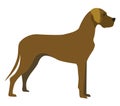 Great Dane Dog illustration shown in profile