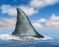 Great White Shark Fin, Ocean, Sea Royalty Free Stock Photo