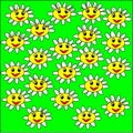 Illustration on a green background large daisy flowers with white petals and yellow heart smile and look Royalty Free Stock Photo