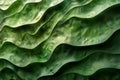 Green background or wall with waves of texture, high quality, high resolution Royalty Free Stock Photo