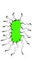 Illustration of Green Bacteria with Flagella Microscopic Microbe Image Royalty Free Stock Photo