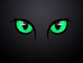 Illustration of green cat eyes Royalty Free Stock Photo