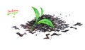 Illustration of green and dried tea leaves