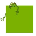 Illustration Green Frog on Green Background Royalty Free Stock Photo