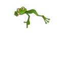 Illustration Green Frog on a White Background Royalty Free Stock Photo