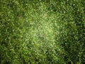 Green mosaic background Royalty Free Stock Photo