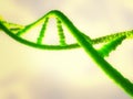 Illustration of a green ribonucleic acid or dna strand Royalty Free Stock Photo