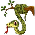 Green snake cartoon on tree branch Royalty Free Stock Photo