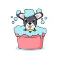 Illustration of a grey sitting dog in a bubble bath with a yellow collar