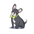 Illustration of a grey sitting dog with a yellow bow collar