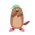Illustration of groundhog in bunny slippers. Flat Royalty Free Stock Photo