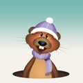 illustration of groundhog with cap and scarf Royalty Free Stock Photo