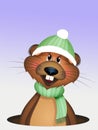 illustration of groundhog in hibernation Royalty Free Stock Photo