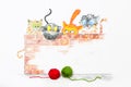 Illustration with group of cute cats and colorful wool balls Royalty Free Stock Photo