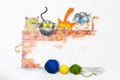 Illustration with group of cute cats and colorful wool balls Royalty Free Stock Photo