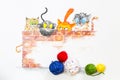 Illustration with group of cute cats and colorful wool balls Royalty Free Stock Photo