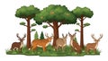 Deer in Forest Illustration, Wildlife Animals, Cartoon Scene Royalty Free Stock Photo