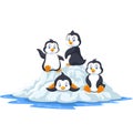 Group of funny penguins playing on ice floe