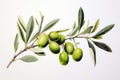 Illustration of a group of green olives with leaves on a white background as a design element for olive packaging.