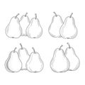 Illustration of a group of pears, a healthy and sweet fruit Royalty Free Stock Photo