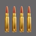 Group of realistic rifle bullets