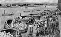 Illustration of gufas on the Tigris River Royalty Free Stock Photo