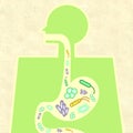 Illustration of gut microbiome