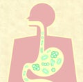 Illustration of gut microbiome Royalty Free Stock Photo