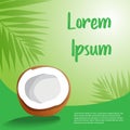 Illustration of half coconut with palm tree leaf Royalty Free Stock Photo