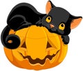 Halloween Kitten Royalty Free Stock Photo