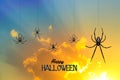 Illustration of Halloween spiders