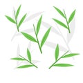 Illustration and hand drawn of bamboo leaves pattern background