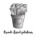 Illustration of hand drawn french fries potato. Royalty Free Stock Photo